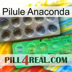 Anaconda Pill new04
